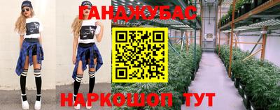прущие грибы Усть-Илимск
