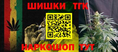 прущие грибы Усть-Илимск