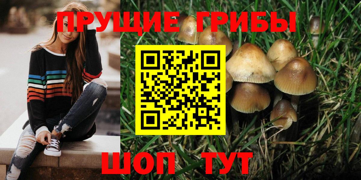 Псилоцибиновые грибы прущие грибы  Вход с VPN  наркошоп  Менделеевск 